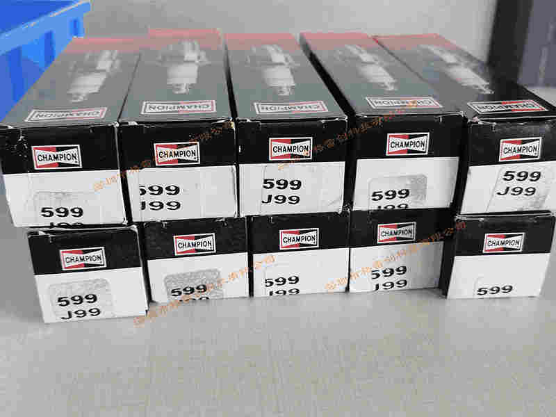 Champion CHA599工业插头