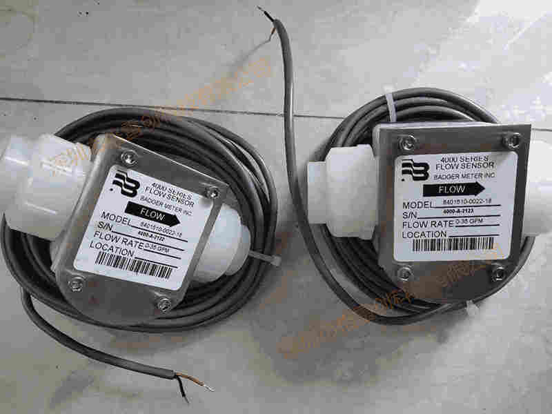 BADGER METER转子流量计8401510-0022-18