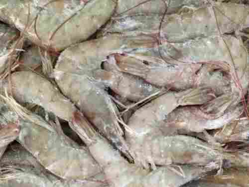 广东家禽核酸检测 出货核酸报告办理机构