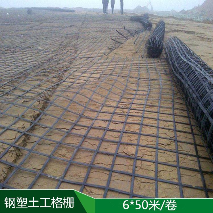 广州30KN钢塑土工格栅双向土工格栅厂家直销量大优惠 欢迎选购