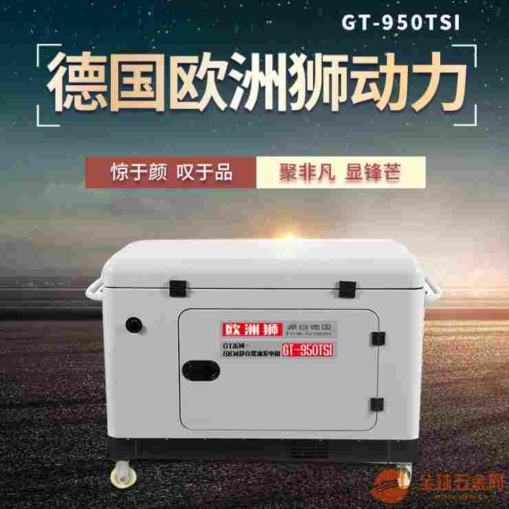 柴油静音发电机3千瓦欧洲狮