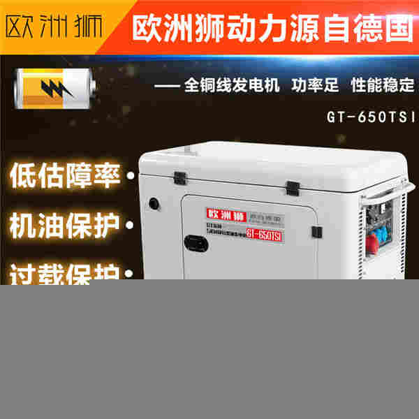 欧洲狮3kw柴油发电机质量可观