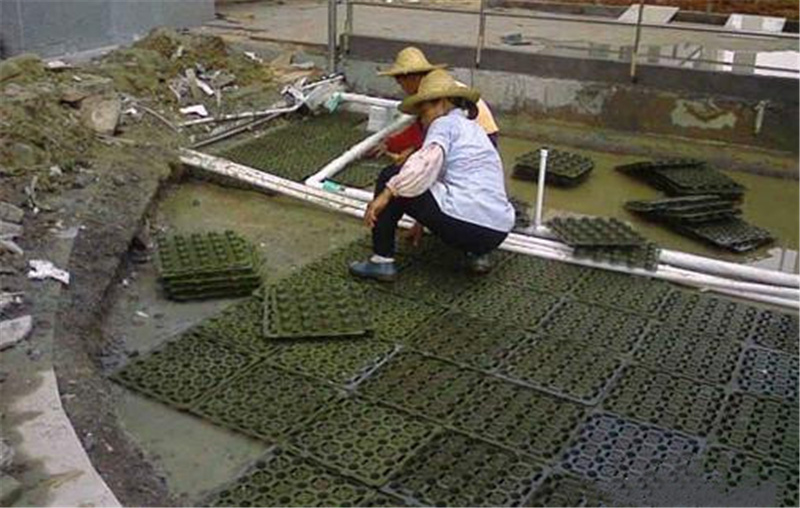 秦皇岛耐根穿刺绿化种植蓄排水板