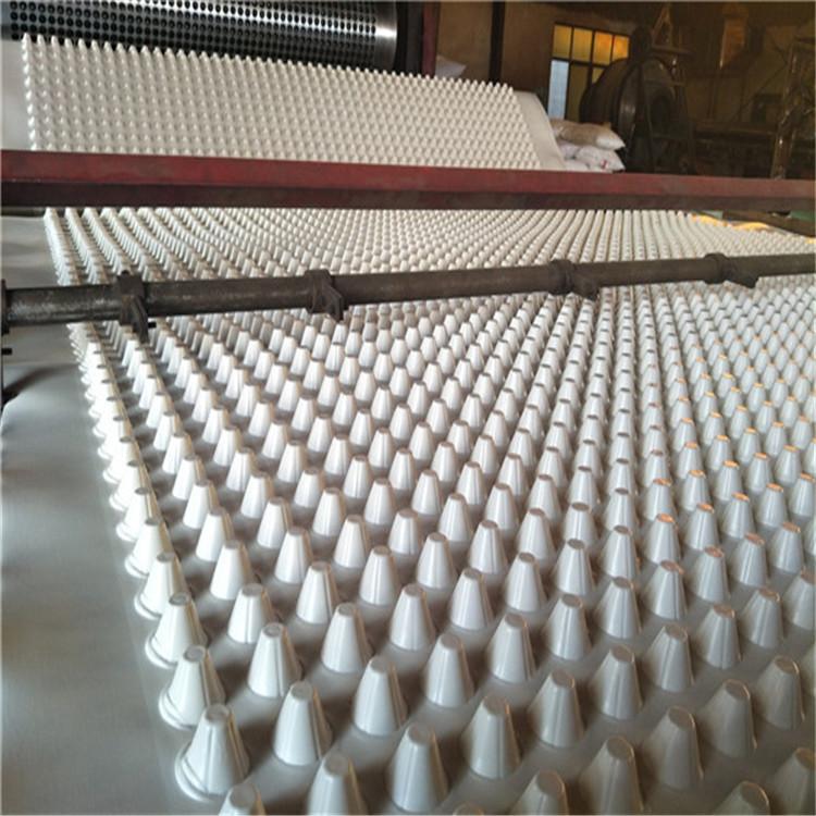 徐州鼓楼排水板厂家生产排水板