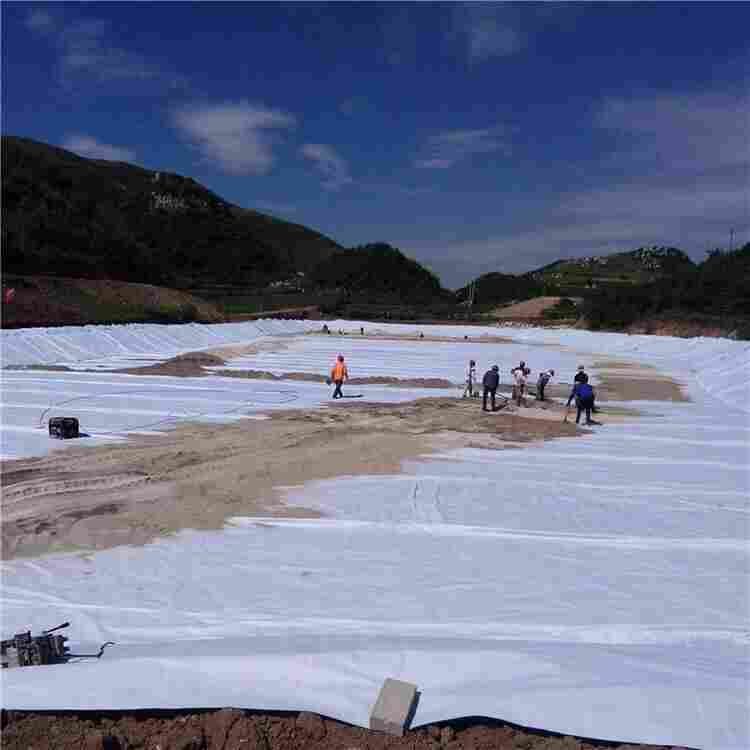 买图木舒克市生产的200g聚酯无纺布-芜湖市价格