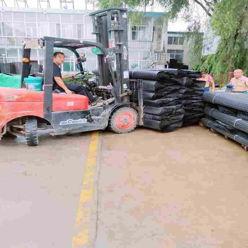 青海省西宁片材排水板独树一帜 青海省西宁片材排水板独树一帜