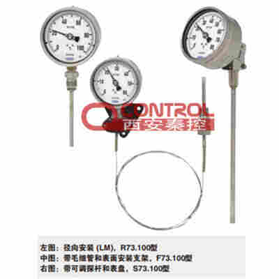 A73.100德国威卡WIKA罐体轴向表盘式温度计