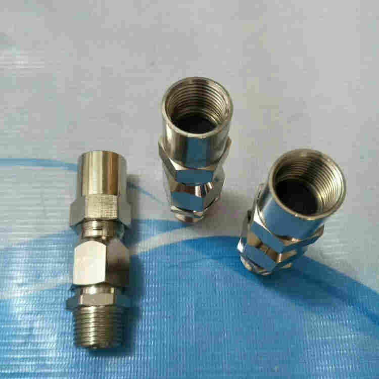 不锈钢防爆管接头BGJ-G1双内ExdII