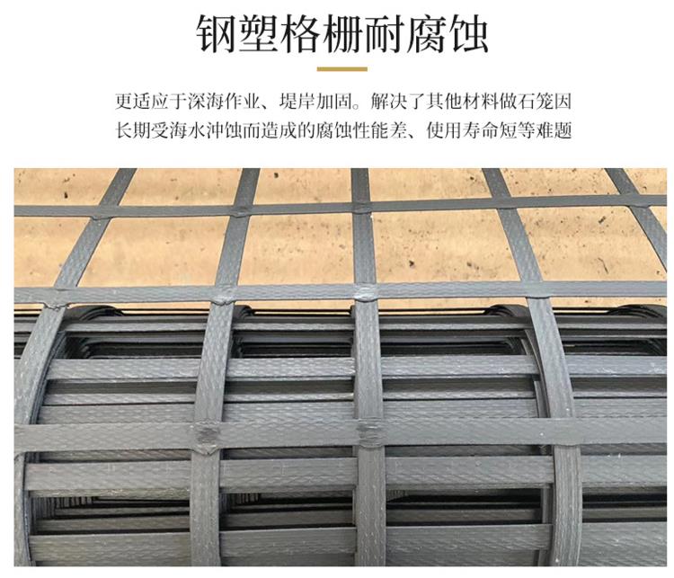 河南省钢塑土工格栅GSZ单向 双向土工格栅 厂家直销