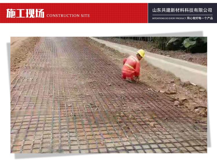 永州市30KN钢塑土工格栅稳固路基用 