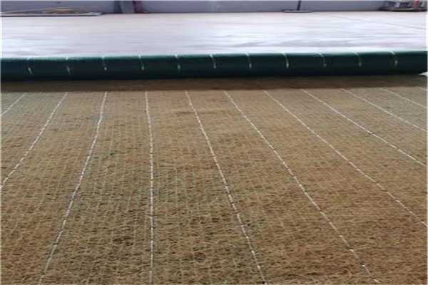 芜湖市芜湖椰丝纤维毯热门施工案例