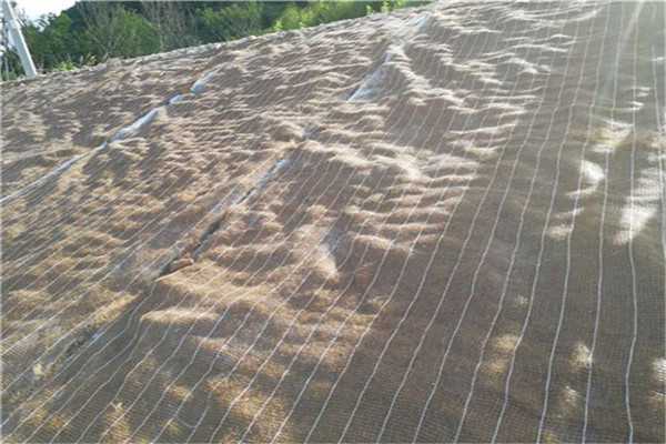 百色环保草毯护坡绿化治理植被毯