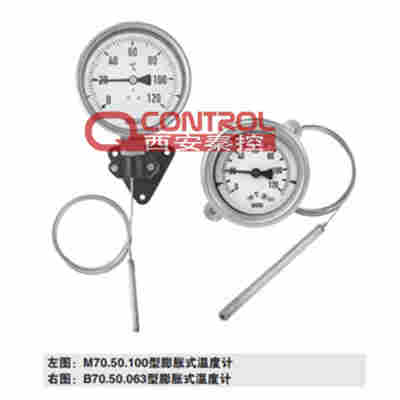 M70.50.100​德国威卡WIKA压力式温度计 ​
