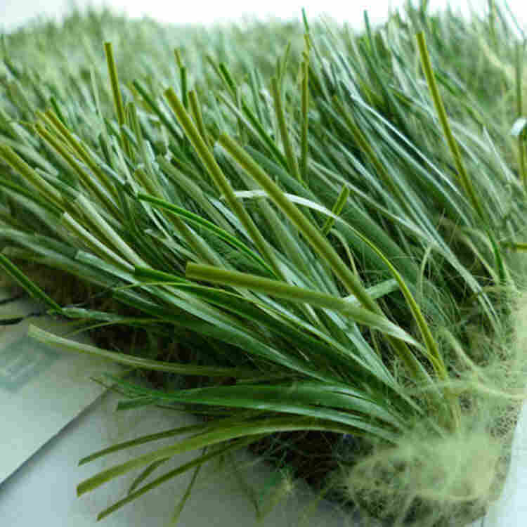 宜宾人工草坪-宜宾假草坪生产厂家