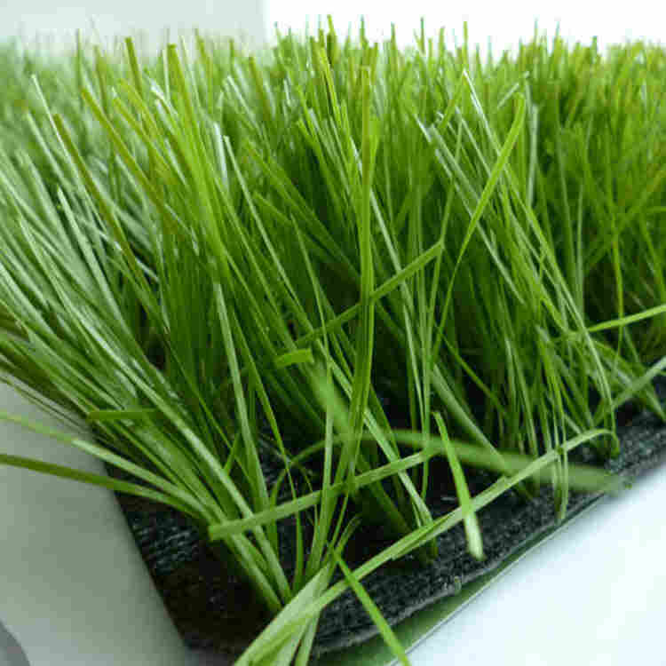 东营人造草坪-东营仿真草坪生产厂家