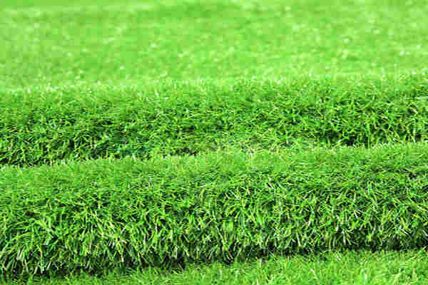 克孜勒苏人工草坪-克孜勒苏假草坪生产厂家