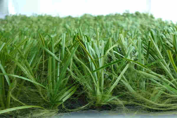 吉安人造草坪-吉安仿真草坪生产厂家