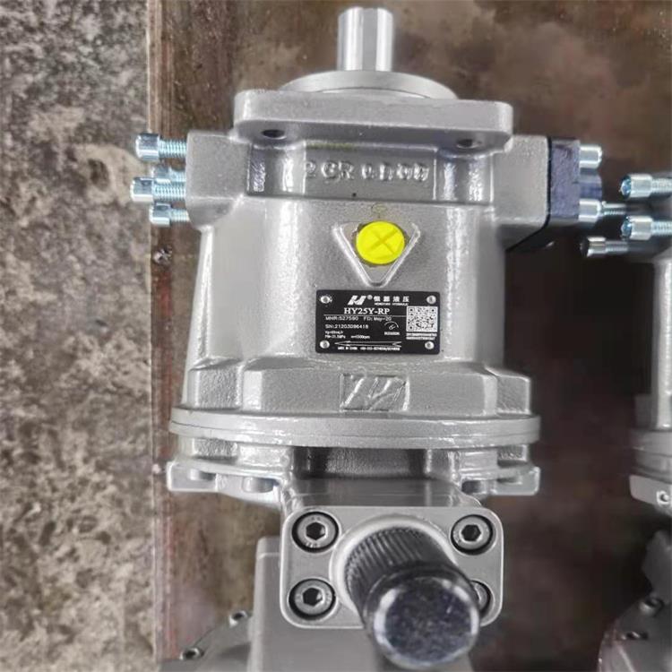 廊坊市柱塞泵HY18P04-RP压滤机油泵(2023年产品)