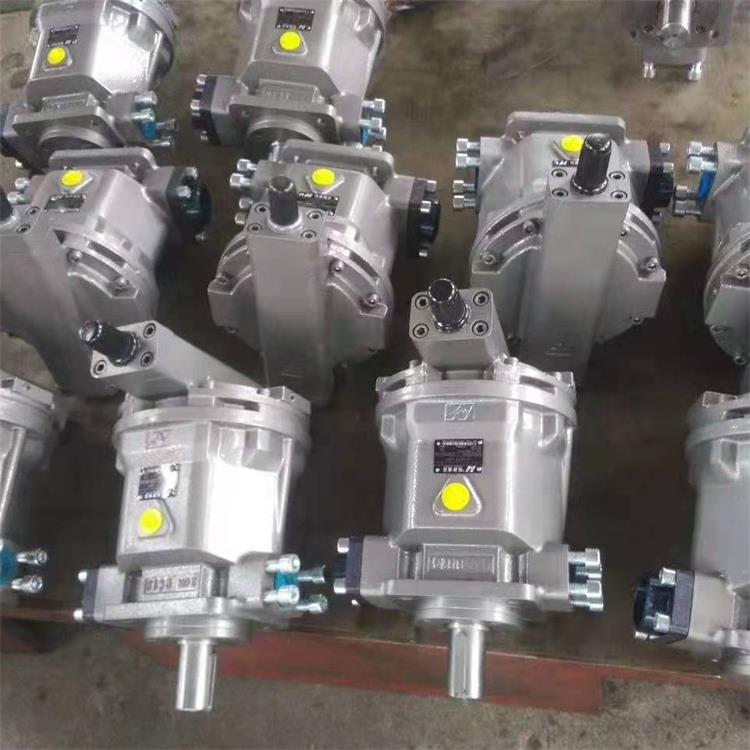 广元市柱塞泵HY160Y-LP打包机油泵(2023年产品)