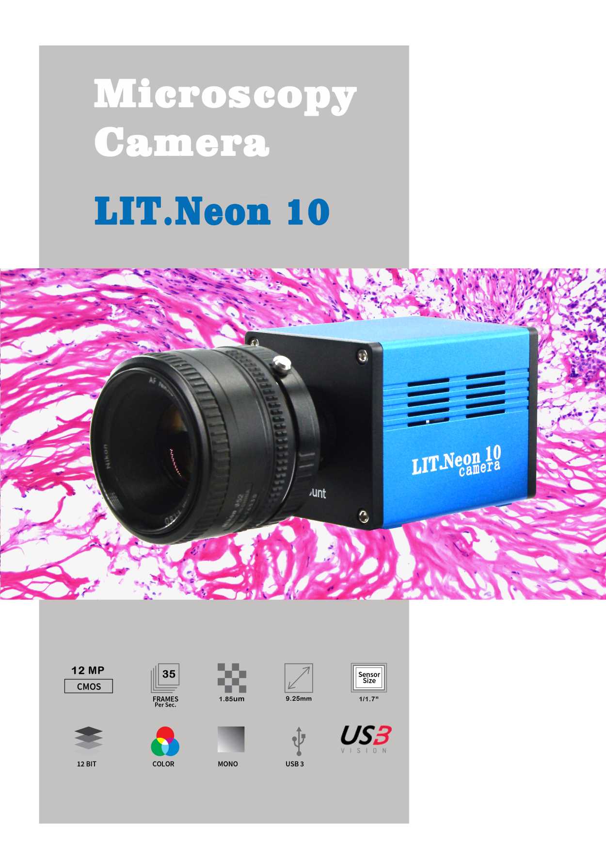 显微镜相机 显微摄像头 CCD摄像头 显微图像分析系统