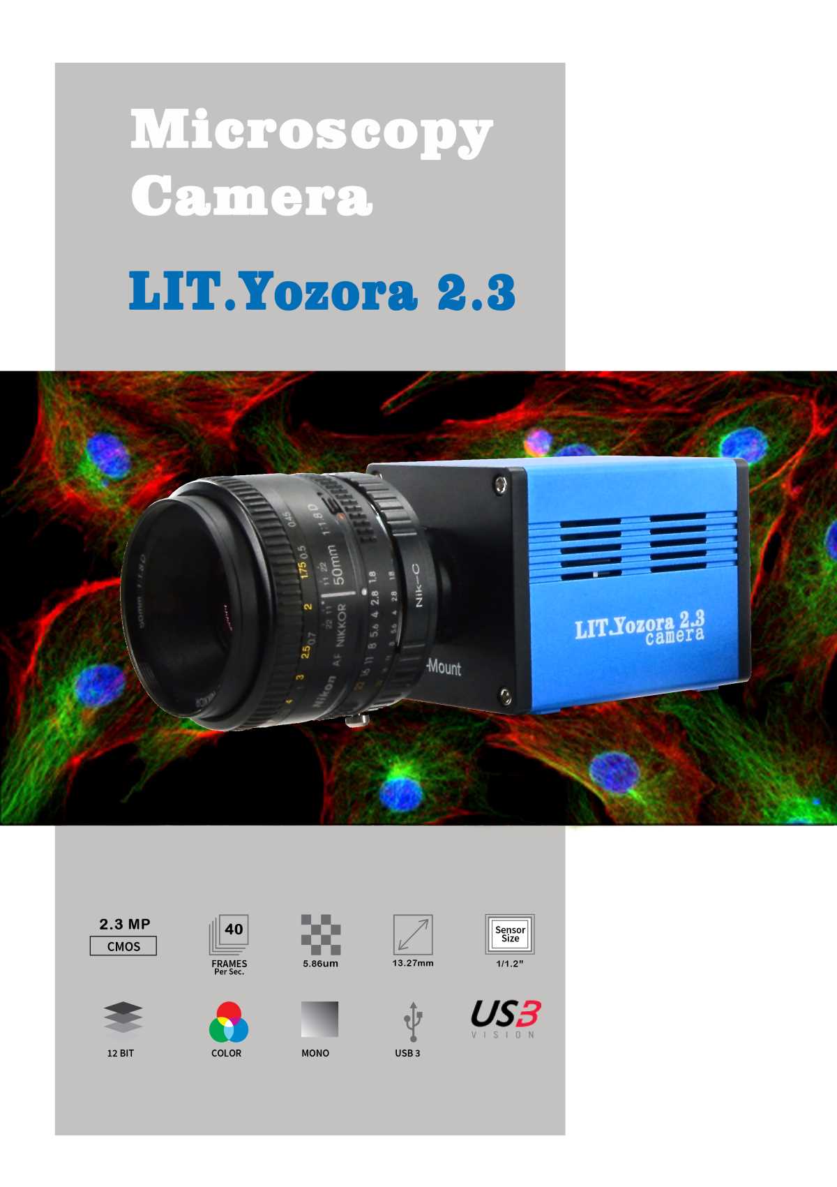 显微CCD 显微镜相机 显微成像系统