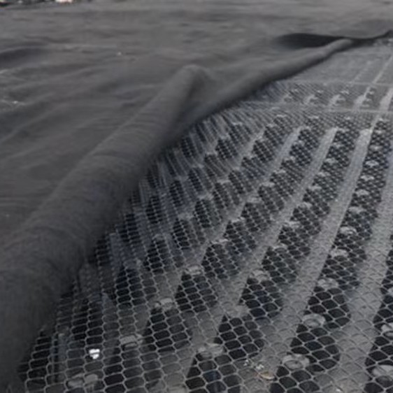 海北4公分高塑料排水板-凸点朝上还是朝下