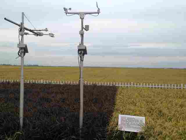 河北气象站生产厂家-北京华创(在线咨询)-河北气象站