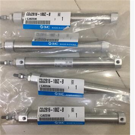 SMC标准气缸CDM2B25-100Z-M9BL两侧带凸台
