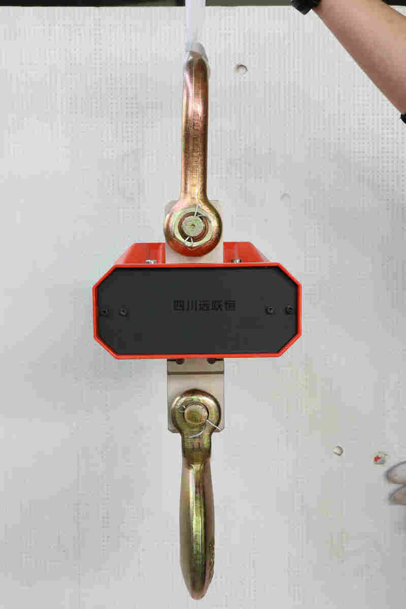 10吨直视式电子吊秤