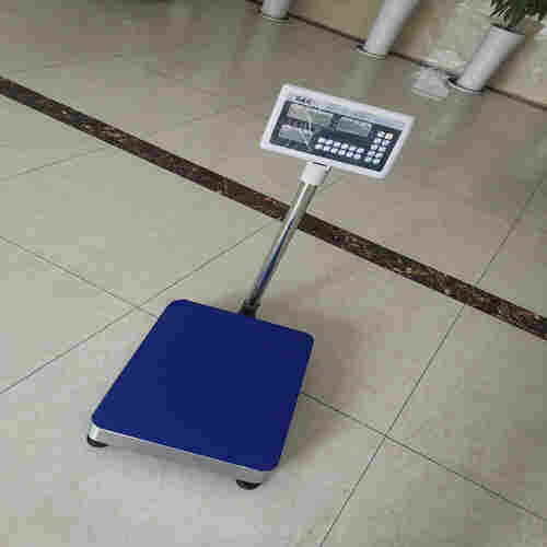 承德防爆电子地磅 东台英展300公斤电子秤