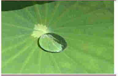 光纤光缆接头密封件派瑞林涂层