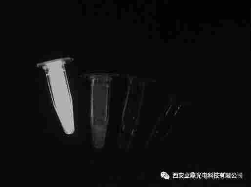 短波红外相机在近红外二区荧光成像中的应用