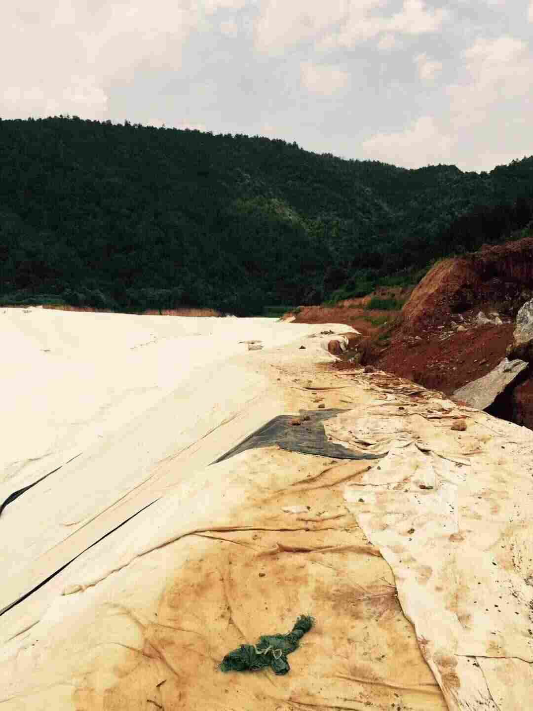 澄江养护土工布