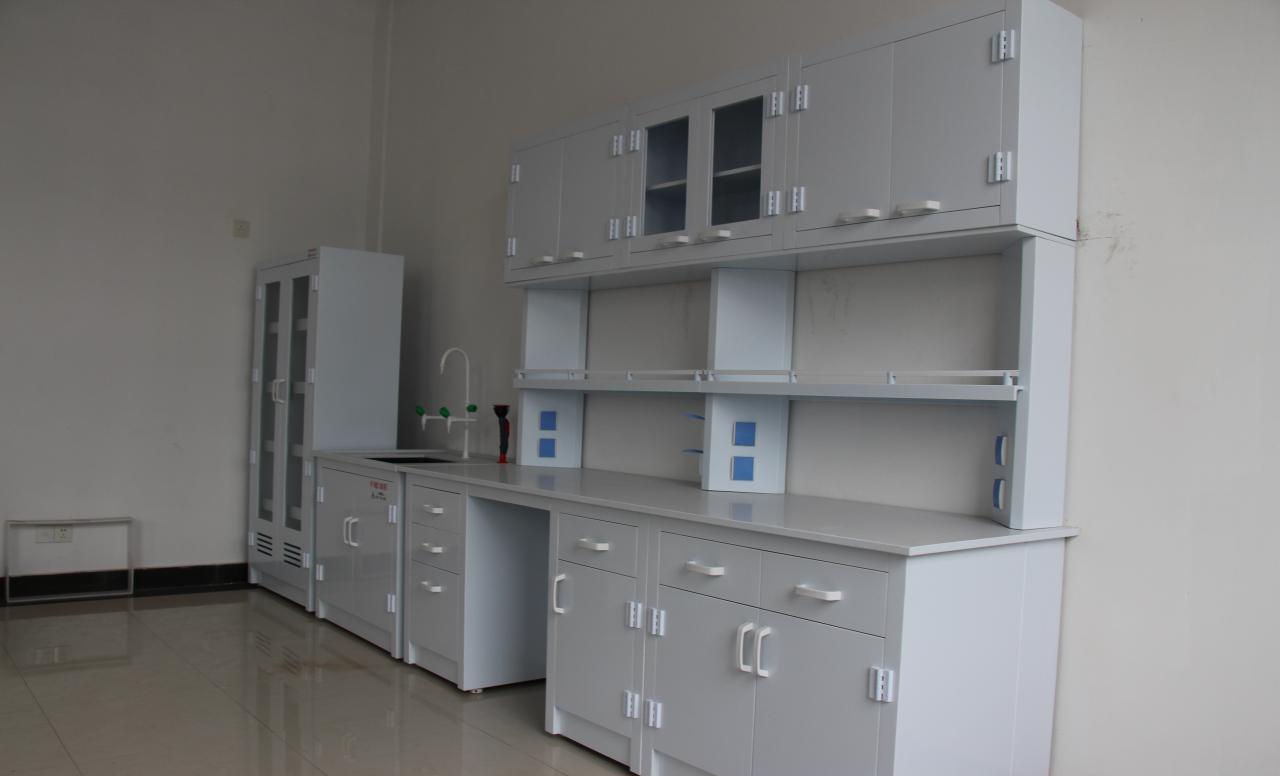 南宁实验室药品柜-全钢药品柜-PP药品柜