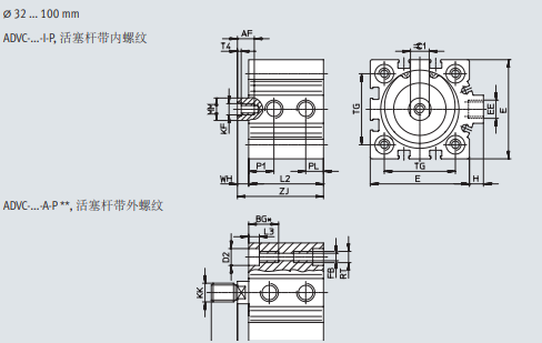 ADVC-63-10-I-P-A ADVC-63-10-I-P-A  