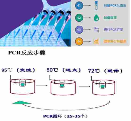 甲型H1N12009季节性流感病毒H3亚型PCR检测试剂盒
