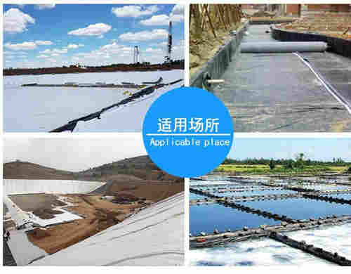 东营土工膜厂家 黑色防渗土工膜批发 东营塑料防渗膜经销代理