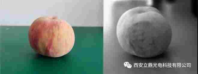 1626916784316014.jpg 微信图片_20210722091757.jpg