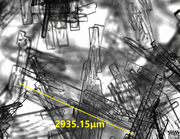 在線錄影顯微鏡結(jié)晶監(jiān)測(cè)系統(tǒng)