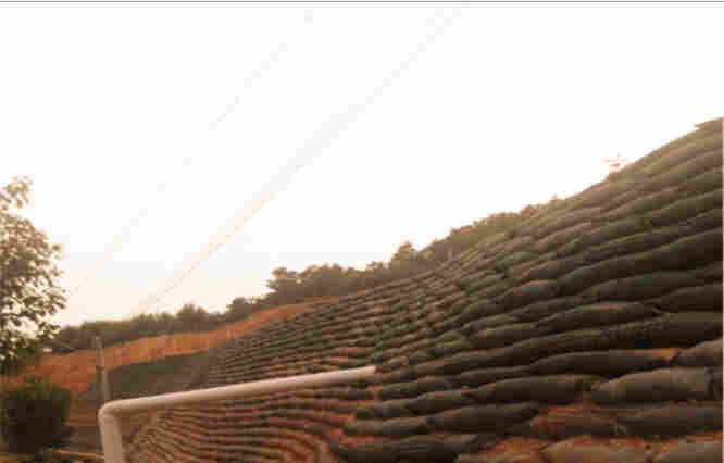 云南临沧永德河道治理生态袋