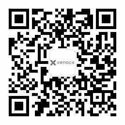 用于纳米颗粒表征的原位小角 X 射线散射