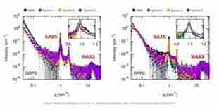 SAXS应用于制药研究中脂质体的表征