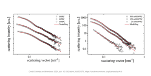 SAXS应用于制药研究中脂质体的表征