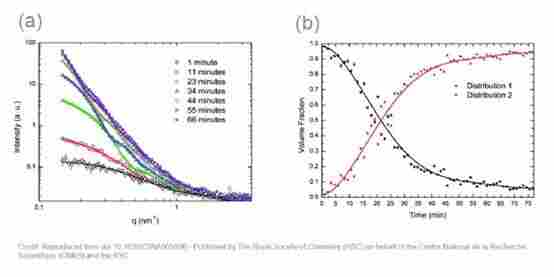 用于纳米颗粒表征的原位小角 X 射线散射