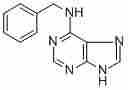 N6-Benzyladenine1214-39-7