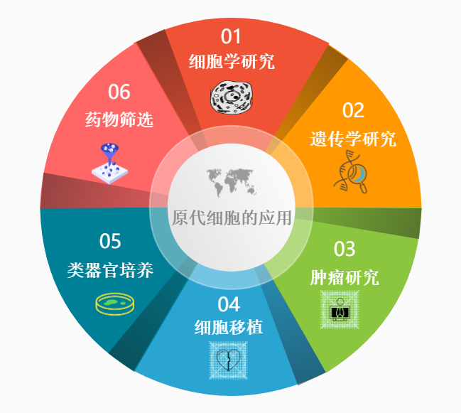原代细胞分离与培养