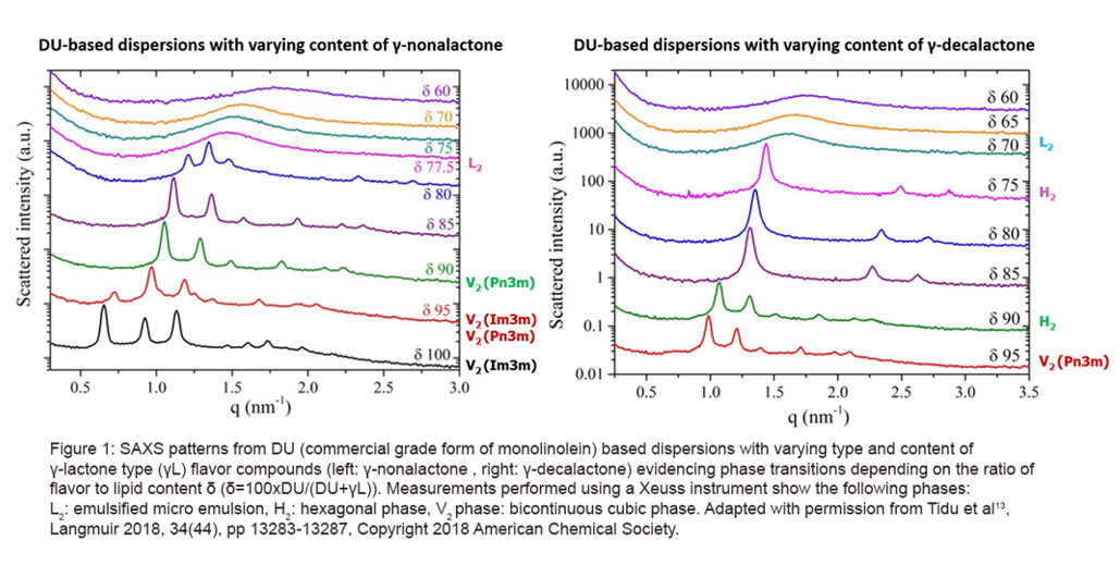 用SAXS在纳米尺度上表征功能性食品