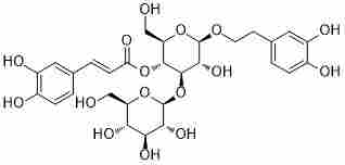 Plantamajoside104777-68-6