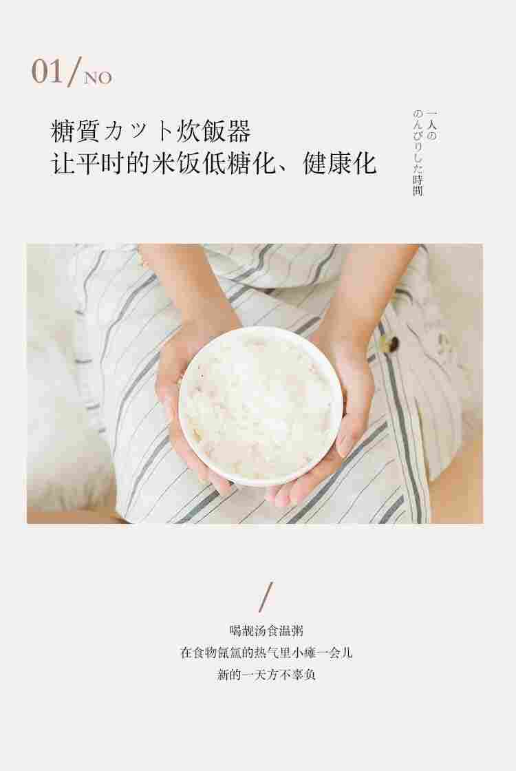 VDADA低糖电饭煲3L魔板