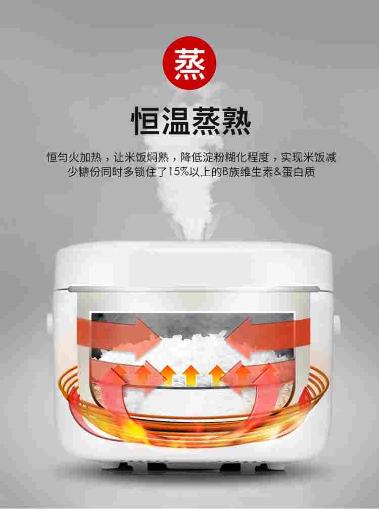 VDADA低糖电饭煲3L魔板